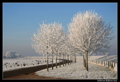 winter wonderland in nederland