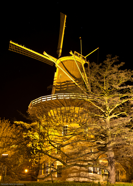 Molen in Leiden by night