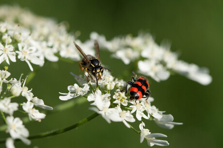 Gezellig samen