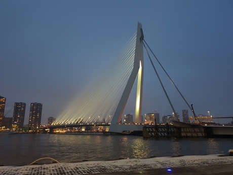 Erasmus Brug