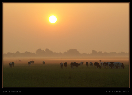 Lente ochtend