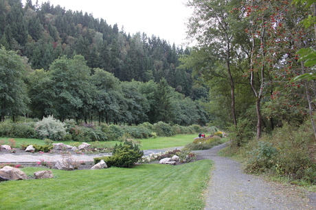 Altenau - Kraeuter Park