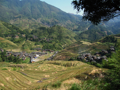 Dazhai village (Dragon's Backbone Rice Terraces)