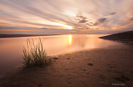 Aan de Westerschelde