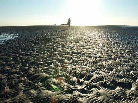 Rottumerplaat terug naar de boot