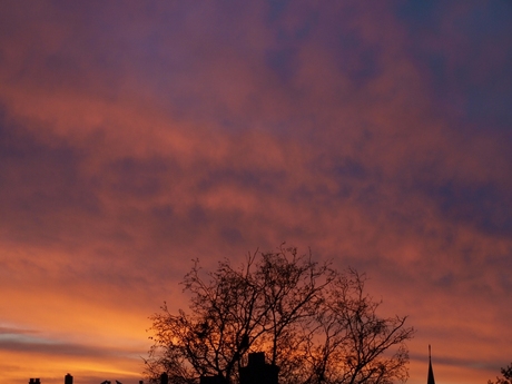 ochtend-rood