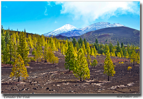 Canadas Del Teide