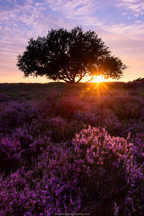 Sunset Tafelberg Blaricum