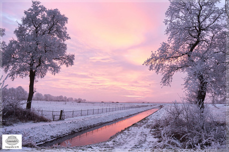 Sunset in Winterwonderland