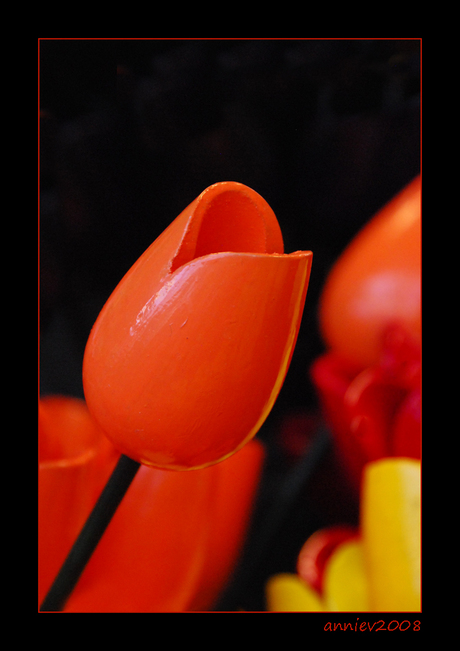 Tulpen uit Amsterdam