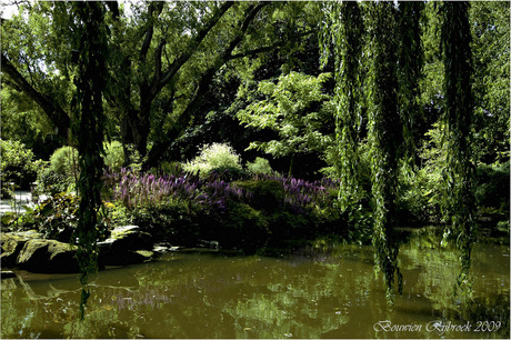 Chinese tuin Blijdorp