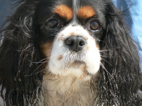 Zand en zee