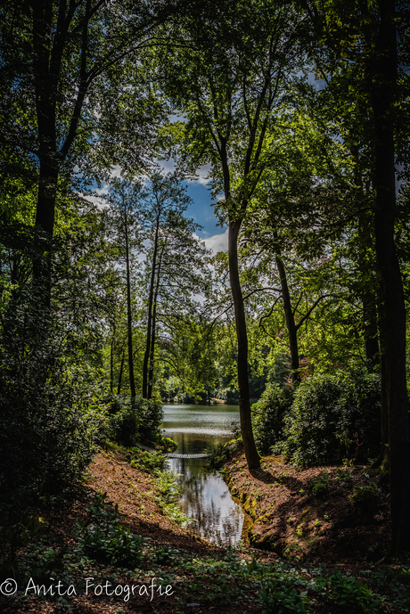 Landgoed bij kasteel Rosendael