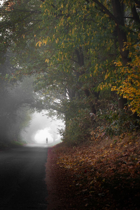 wielrenner in de mist