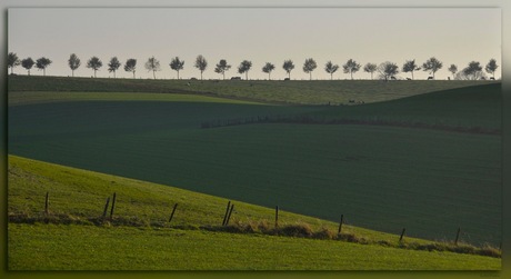 Landschap Gulpen 2