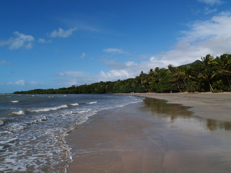 Cape Tribulation