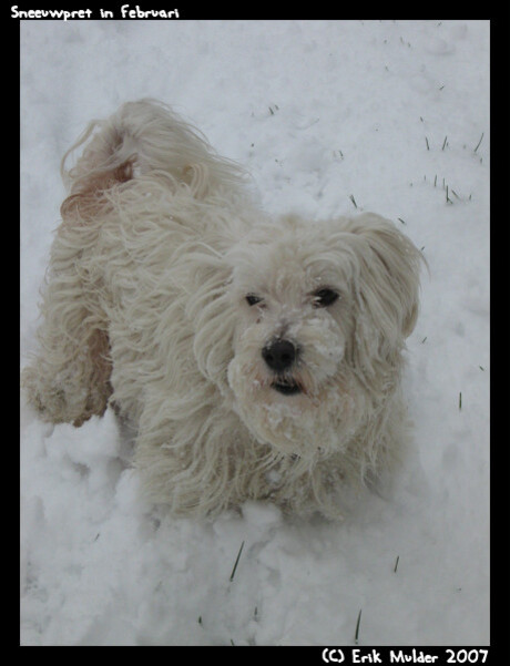 Sneeuwpret in februari-1