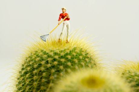 miniatuur fotografie 1