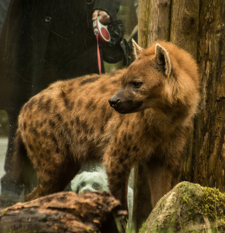 wauw wat spannend in de dierentuin