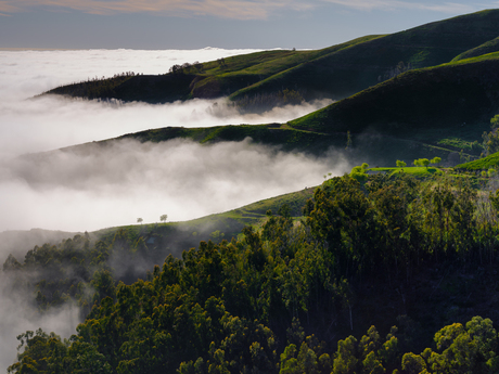 Above the clouds