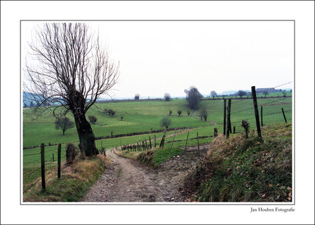 Limburgs Landschap (2)