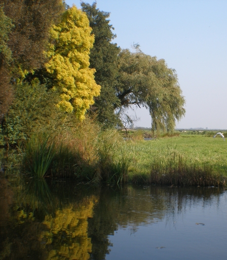 Meer dan groen alleen