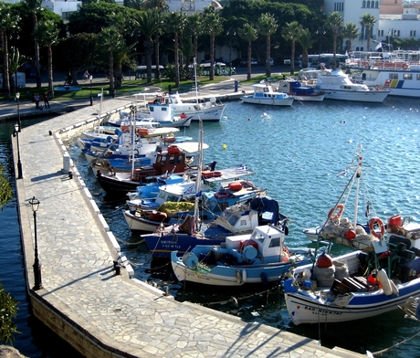 Leuke bootjes in het kleine haventje van Kos.