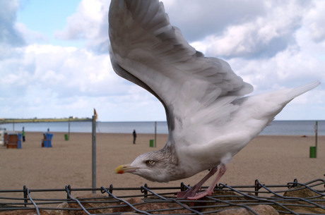 start klaar voor .....