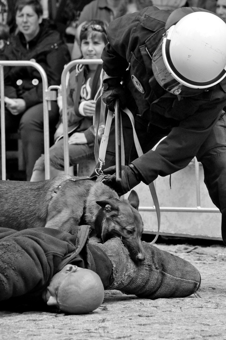 demonstratie van ME met honden