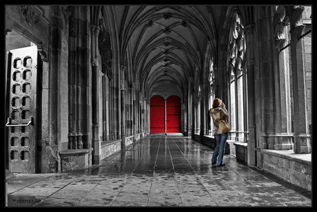 Beyond these doors....II