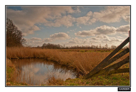 Fries landschap