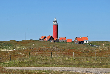 Texel