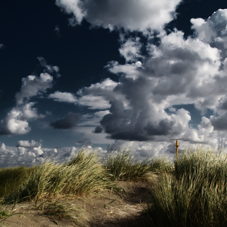 In de duinen