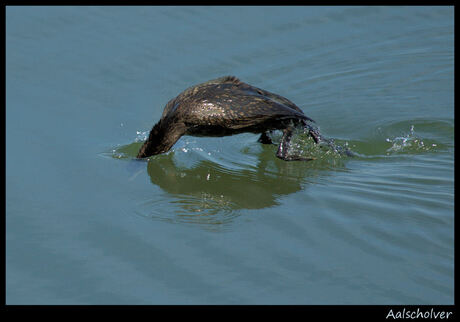 Tjoep....ploep