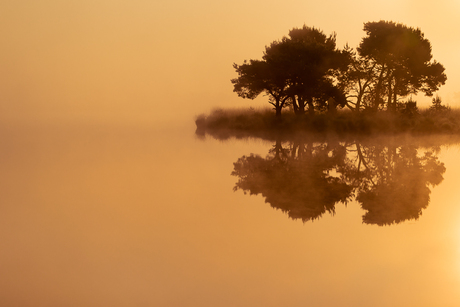 Strabrechtse Heide 228