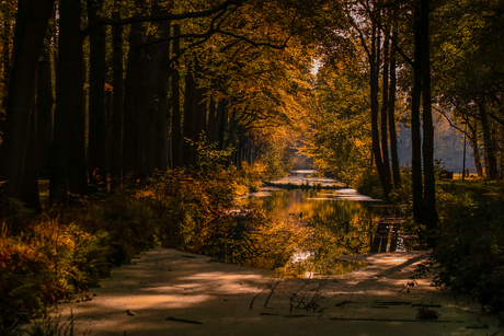 Herfstkleurtjes