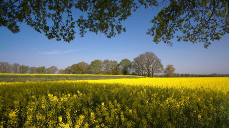 Lente in twente