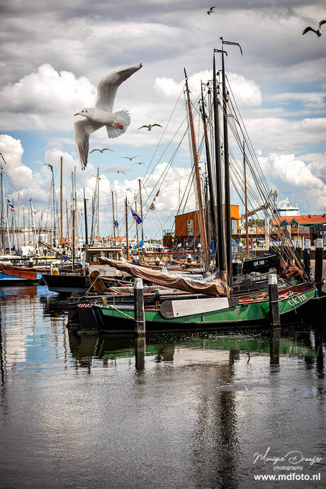 URK (2)