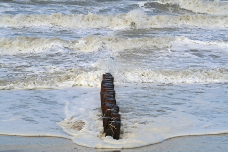 t,Strand van Cadzand