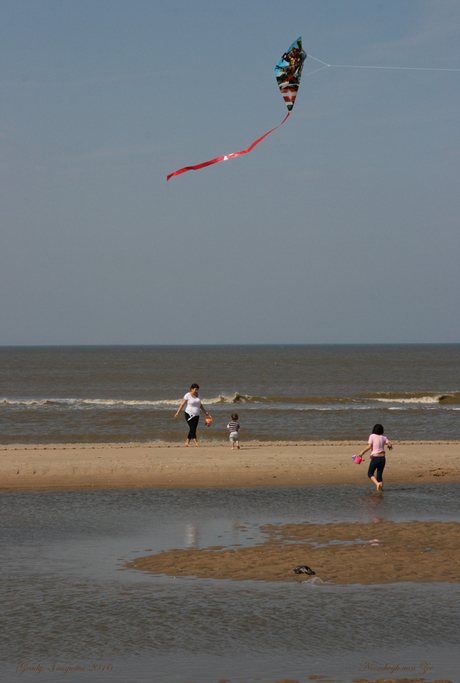Noordwijk aan Zee vlieger