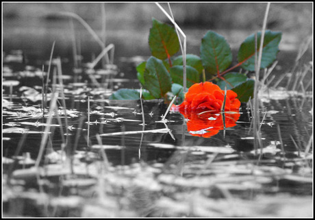 Unhappy Valentine in black & red