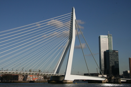 Erasmusbrug Rotterdam