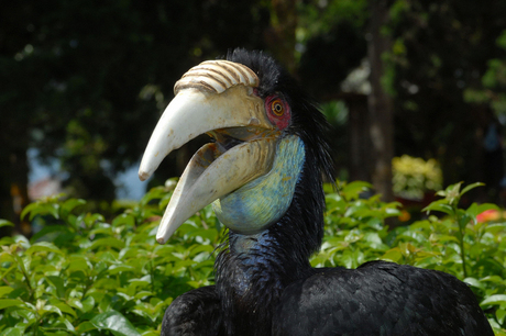 Lijkt nep, is toch echt !