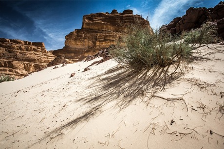 Sinai woestijn