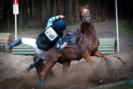 Over het paard getild