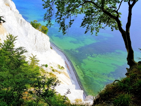 Møns Klint Denemarken