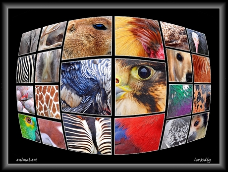 Animal Art