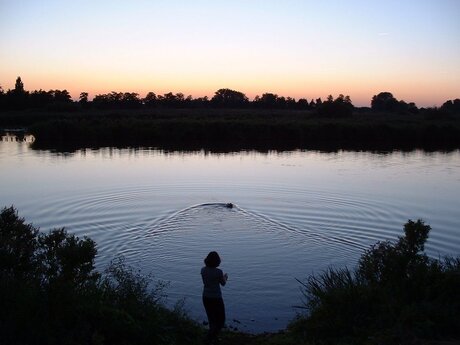 Zwemmen in de Linge