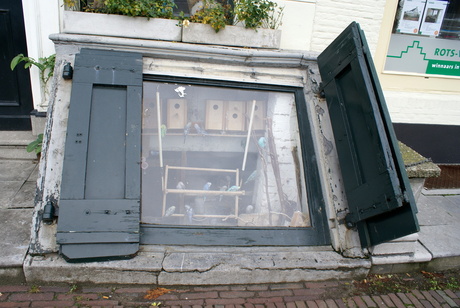 Parkietjes in de kelder....