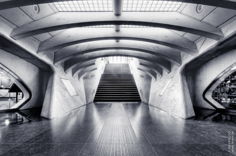 Luik-Guillemins